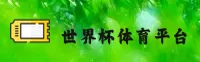 (推荐)世界杯网投正版门户 - 2026世足赛数据入口
